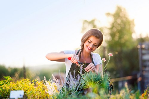 Illustration representing accessible gardening services in Hampton Hill