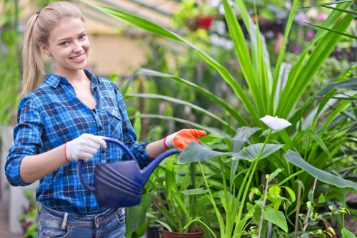 Garden safety policy introduction for professional gardening services