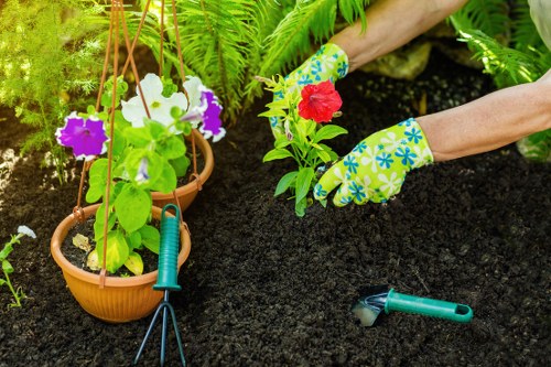 Safe and insured garden maintenance by Hampton Hill gardeners