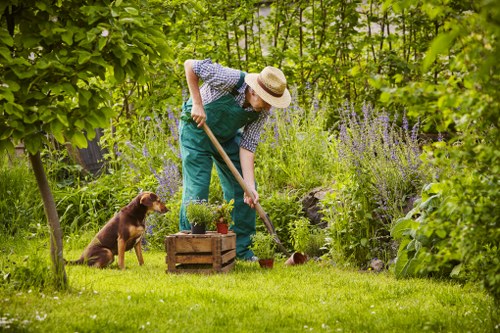 Professional Hampton Hill garden landscaping with planting and paving