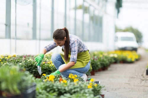 Seasonal lawn maintenance in Hampton Hill