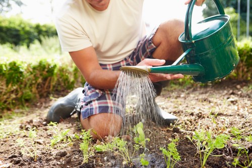 Professional gardening services in Hampton Hill maintaining a neat front garden
