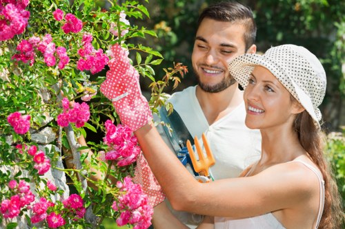 Mature garden restoration by Hampton Hill gardening experts
