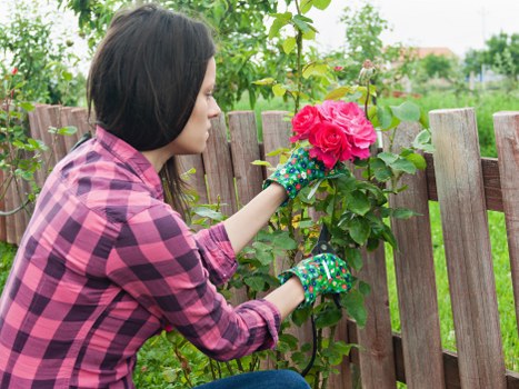 Visual concept for screen-reader friendly local gardening information