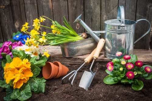 Local gardeners in Hampton Hill shaping hedges and lawns