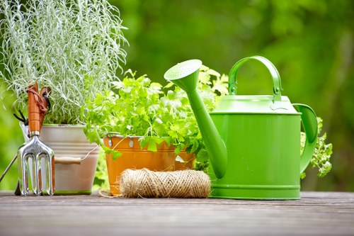 Professional garden maintenance in Hampton Hill with lawn care