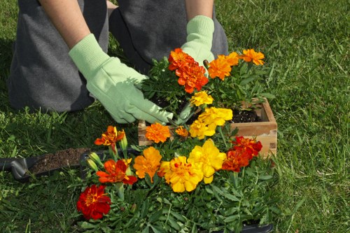 Professional garden clearance preparing a Hampton Hill outdoor space for reuse