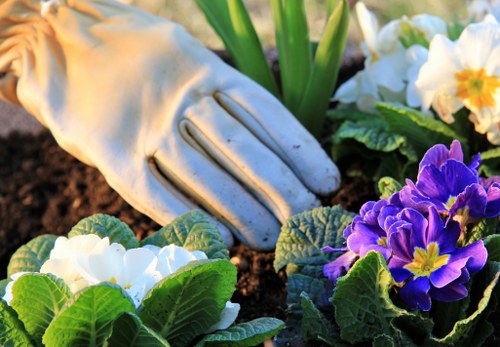 Professional gardener applying safe working practices in a garden