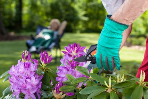 Accessibility-focused gardening service image for Hampton Hill
