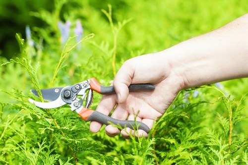 Example garden clearance job for a Hampton Hill property