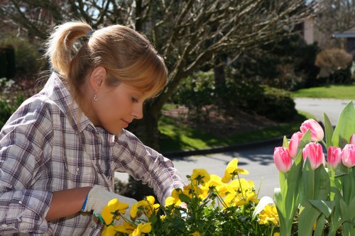 Gardener reviewing safety measures before outdoor work