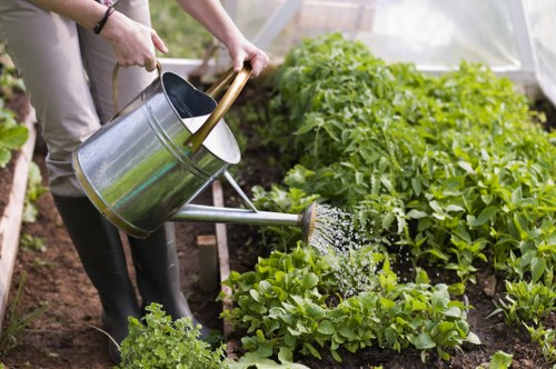 Professional lawn mowing in a Hampton Hill garden